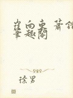 崔向东 萧错 笔趣阁