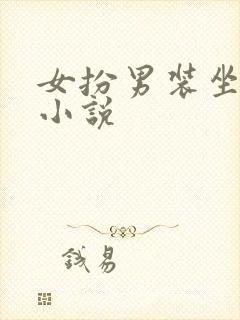 女扮男装坐江山小说