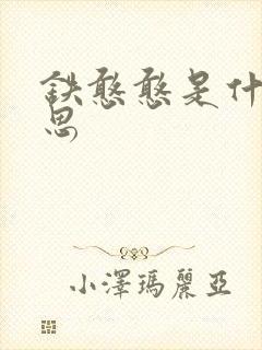 铁憨憨是什么意思