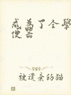 成为了全学校坐便器