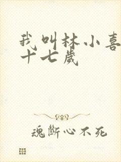 我叫林小喜今年十七岁