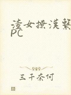 渣女撩汉系统NPC