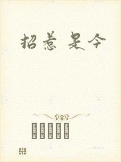 招惹 是今