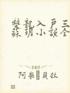 双龙入户三人行苏玥小说全文阅读