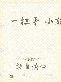 一把手 小说