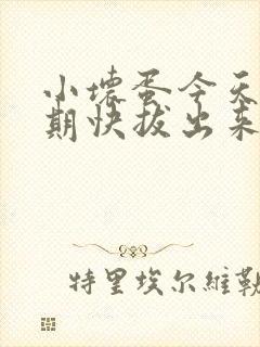 小坏蛋今天危险期快拔出来