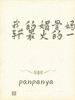 我的媚骨妈妈林轩最火的一句