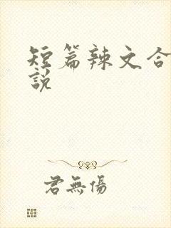 短篇辣文合集小说
