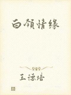 白领情缘