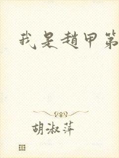 我是赵甲第小说