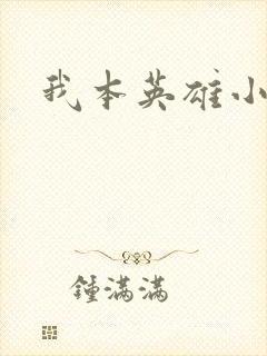 我本英雄小说