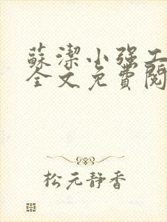 苏洁小强工地情全文免费阅读