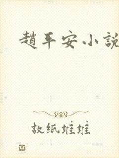 赵平安小说主角