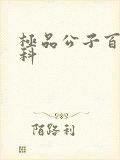 极品公子百度百科