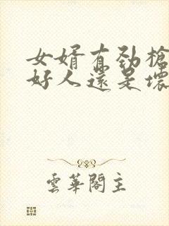 女婿有劲枪枪是好人还是坏人