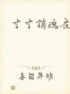 寸寸销魂夜春光