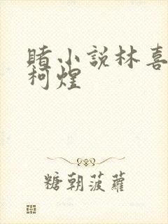 赌小说林喜朝和柯煜