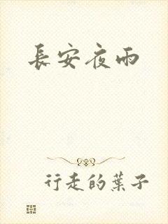 长安夜雨