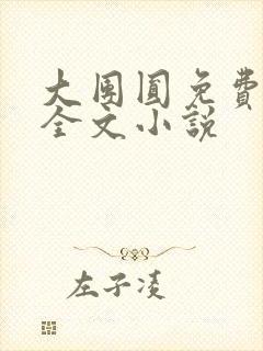 大团圆免费阅读全文小说