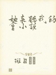 她来听我的演唱会小说