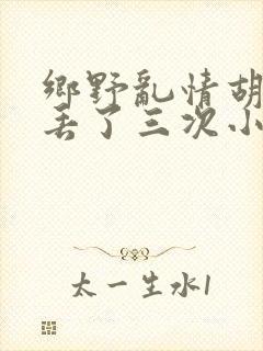 乡野乱情胡秀英丢了三次小说