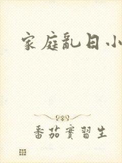 家庭乱日小说