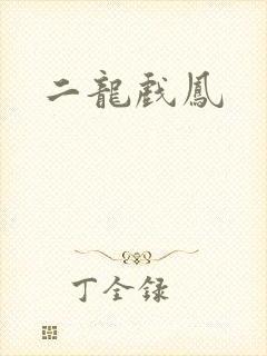 二龙戏凤