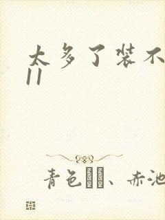 太多了装不下H11