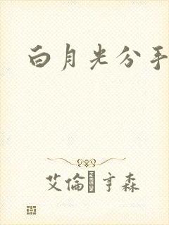 白月光分手日常