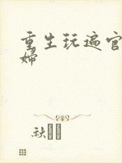 重生玩遍官场贵妇