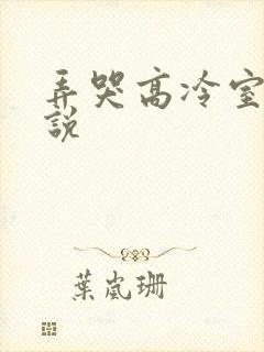 弄哭高冷室友小说