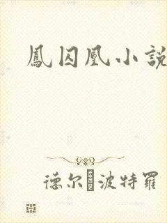 凤囚凰小说