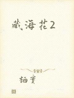 藏海花2