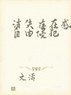 消失存在感消失自由侵犯