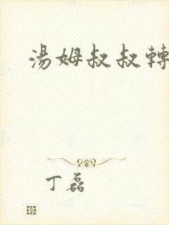 汤姆叔叔转接口