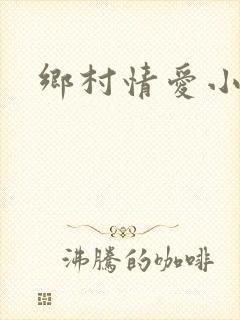 乡村情爱小说