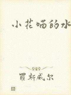 小花喵的水蜜桃