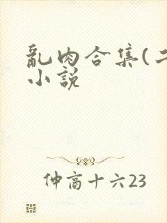 乱肉合集(二)小说