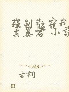 强制欢宠我的温柔暴君 小说