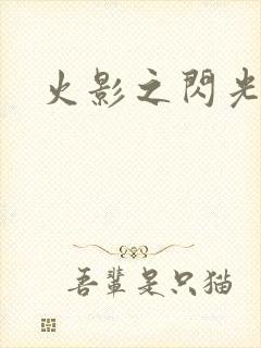 火影之闪光