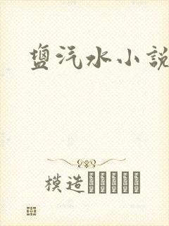 盐汽水小说