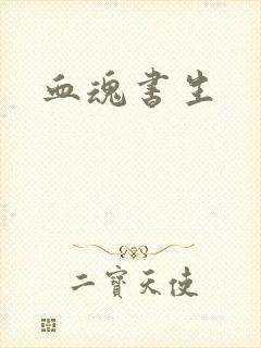 血魂书生