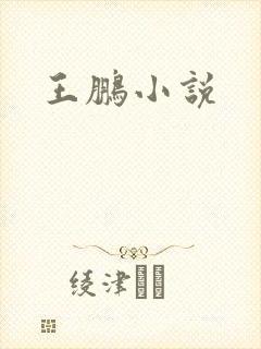 王鹏小说