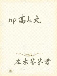 np高h文