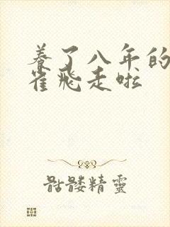 养了八年的金丝雀飞走啦