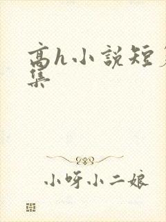 高h小说短篇合集