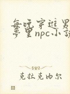 每晚穿进男神的梦里npc小说