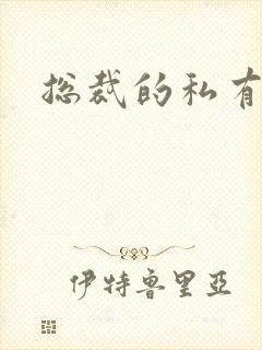 总裁的私有宝贝