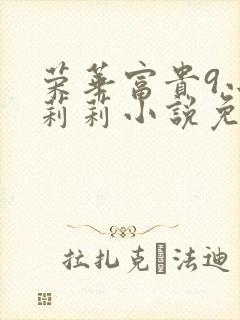 荣华富贵9小王莉莉小说免费阅读