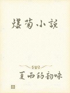 爆菊小说